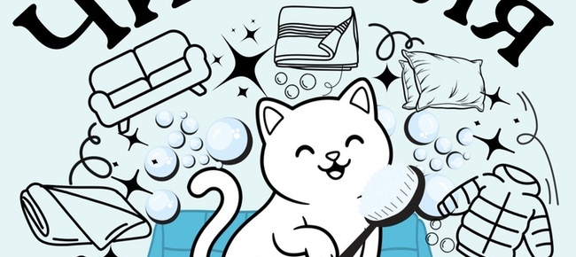 Стирка пледов, одеял, курток. Чистка подушек. Химчистка мебели.